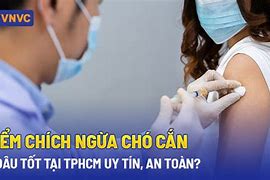 Chích Ngừa Dại Có Tác Dụng Trong Bao Lâu